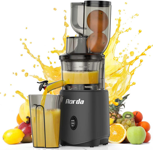 Cold Press Slow Masticating Juicer: Powerful Cold Pressed Juicer Machines Easy To Clean For Vegetable and Fruit, Grey